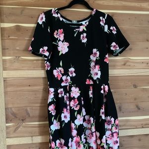 2xl ‘dipped’ Lularoe Amelia